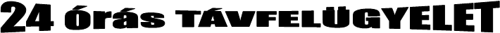BIZTONSGI SZOLGLAT